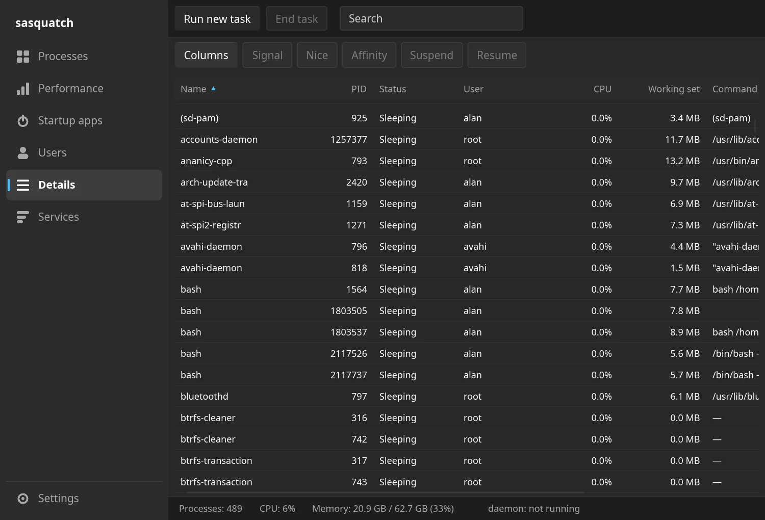Sasquatch Details tab: per-process PID, status, user, CPU and working set, with Signal, Nice and Affinity actions.